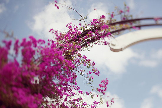 boca-raton-wedding-from-simply-bloom