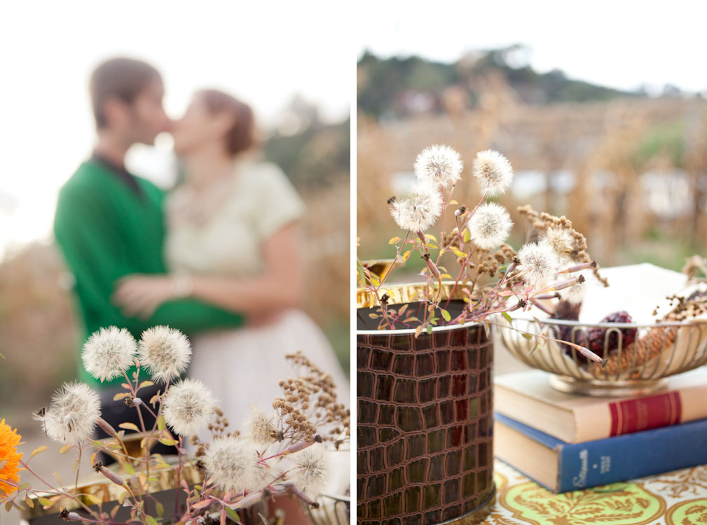 cornfield-engagement-shoot-by-shannon