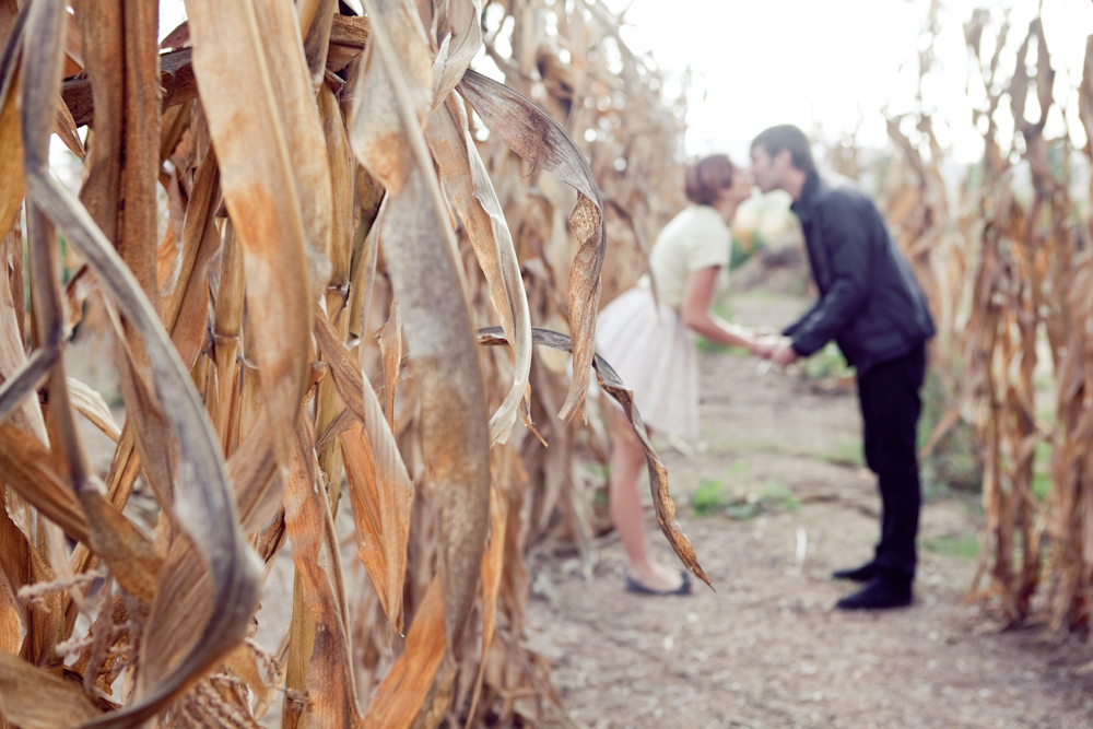 cornfield-engagement-shoot-by-shannon