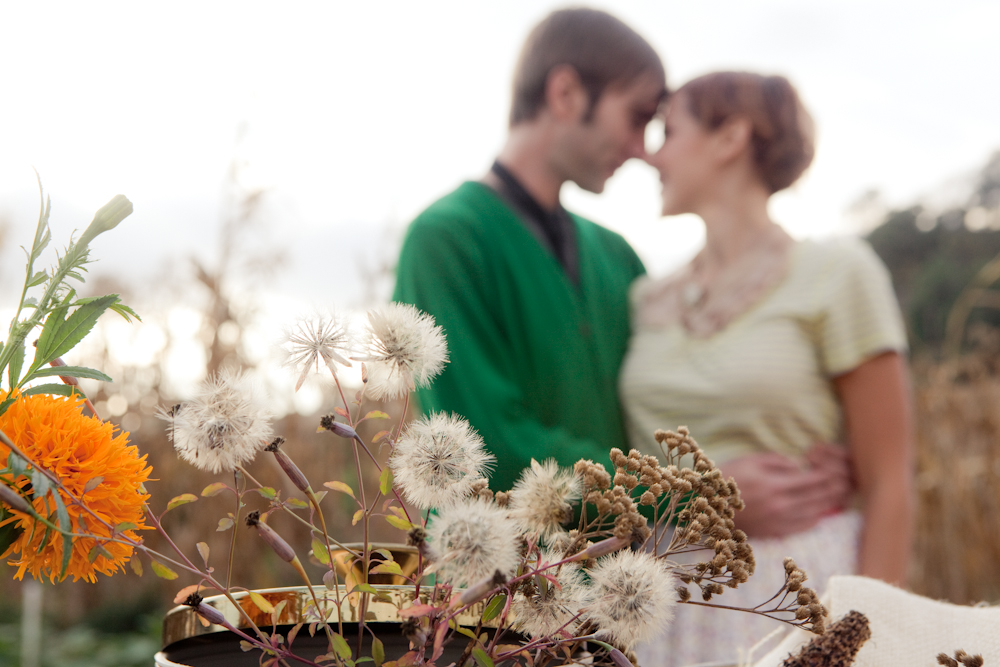 cornfield-engagement-shoot-by-shannon