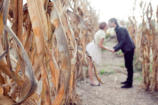 Cornfield Engagement Shoot By Shannon Lee Images