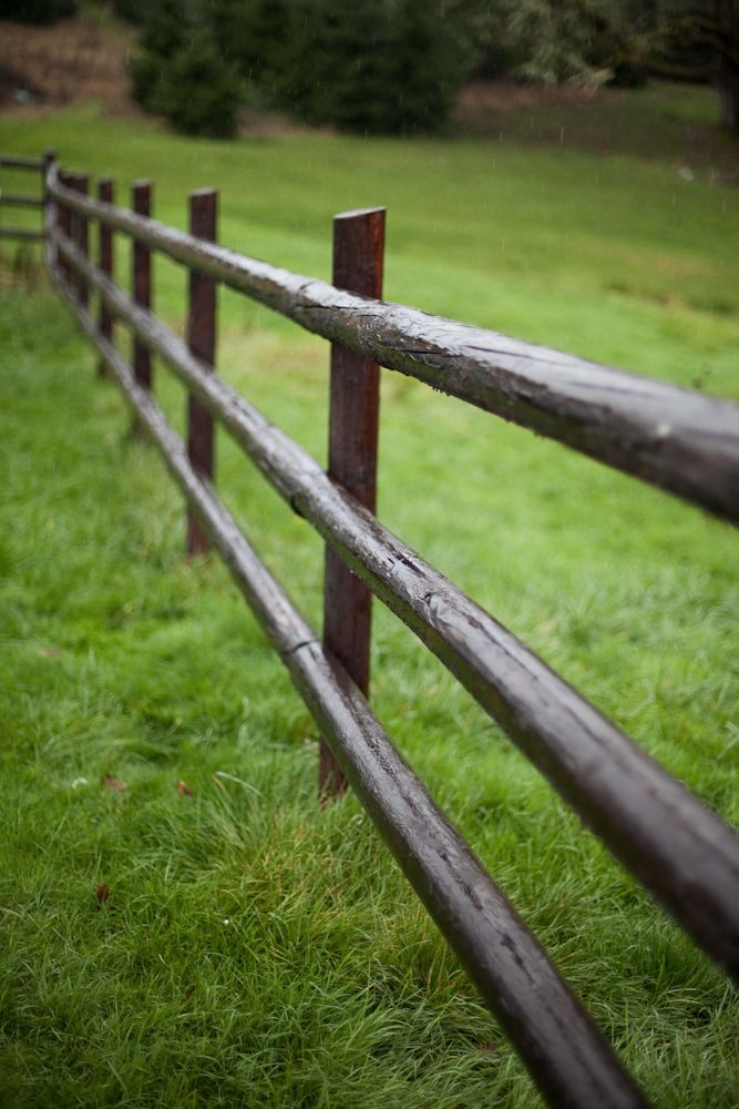 equestrian-wedding-ideas-by-sara-gray