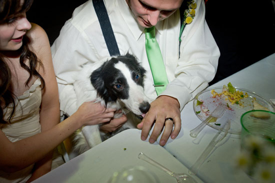 green-and-yellow-wedding-ideas-by-ali