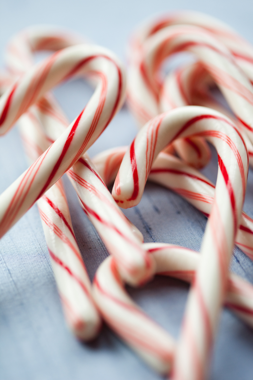 holiday-recipes-from-christina-diane