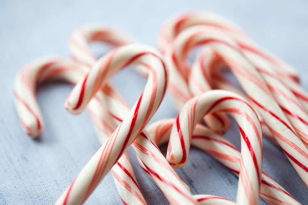 holiday-recipes-from-christina-diane