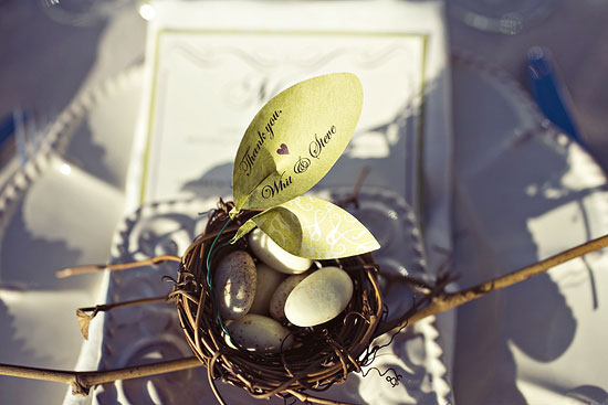 hummingbird-nest-ranch-wedding-from