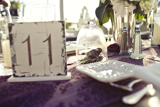 hummingbird-nest-ranch-wedding-from