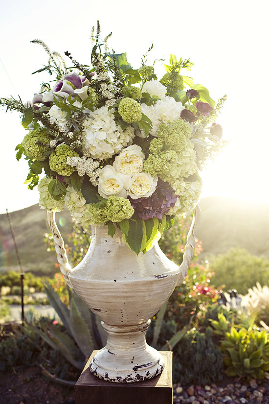hummingbird-nest-ranch-wedding-from