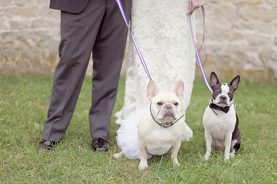 a-barn-yard-wedding-by-simply-bloom