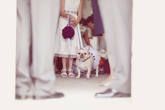 a-barn-yard-wedding-by-simply-bloom