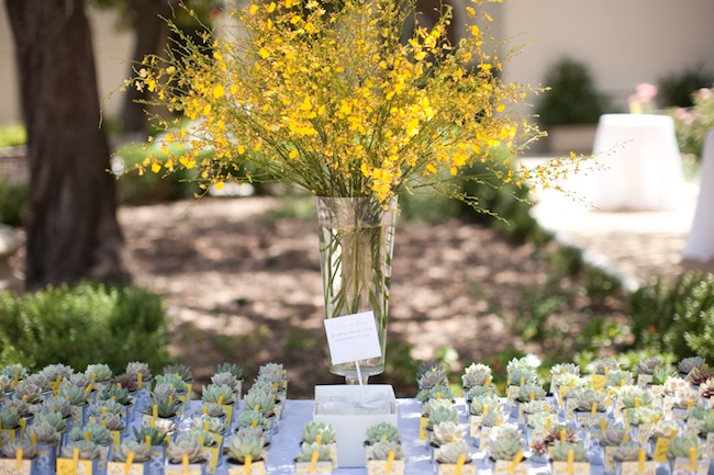 a-succulent-wedding-by-love-and-splendor