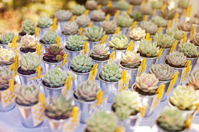 a-succulent-wedding-by-love-and-splendor