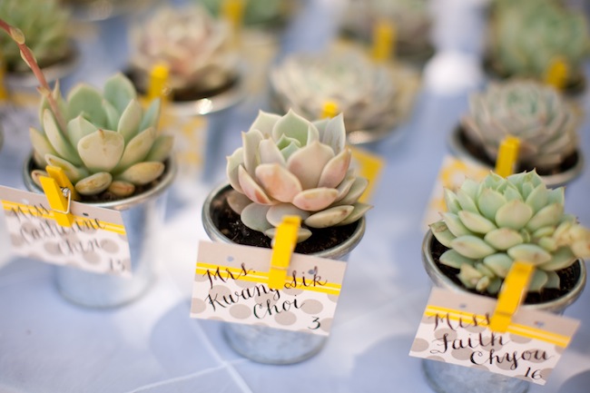 a-succulent-wedding-by-love-and-splendor