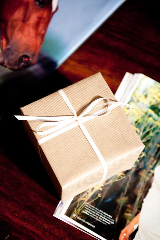 condors-nest-ranch-wedding-from-dapper