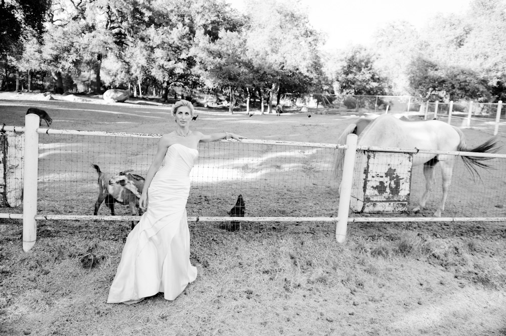 condors-nest-ranch-wedding-from-dapper