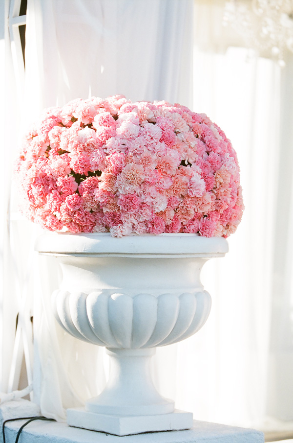 elegant-viceroy-wedding-from-lane