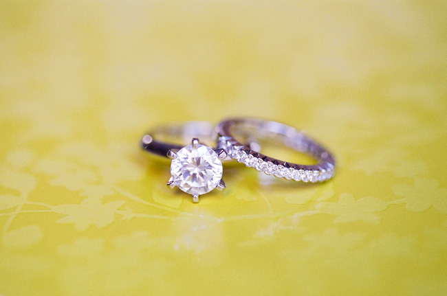 elegant-viceroy-wedding-from-lane