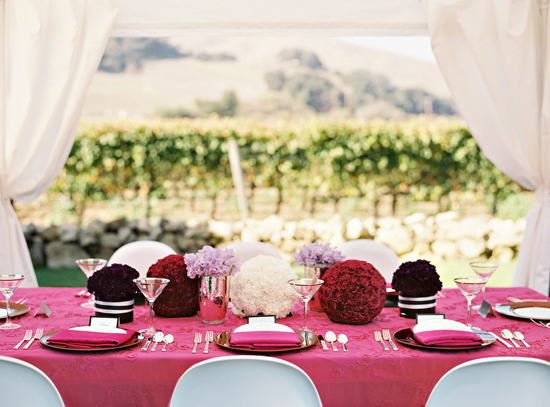 glamourous-santa-barbara-wine-country