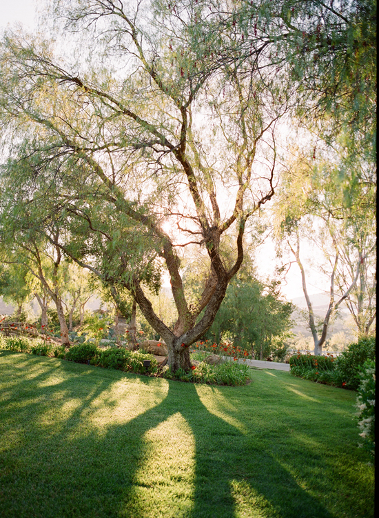 hummingbird-nest-ranch-wedding-by