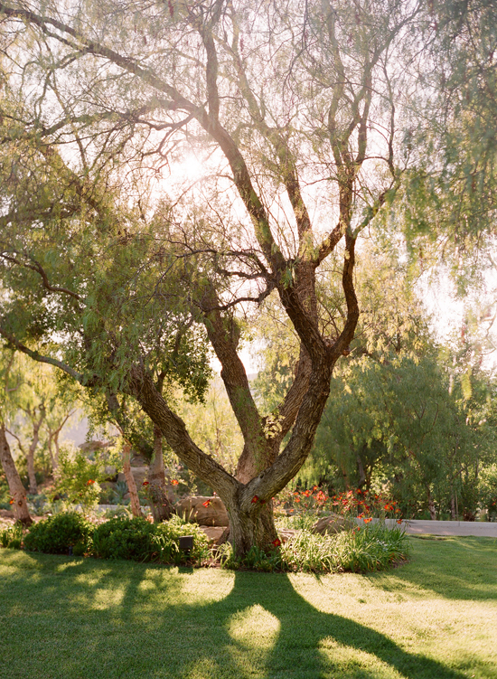 hummingbird-nest-ranch-wedding-by