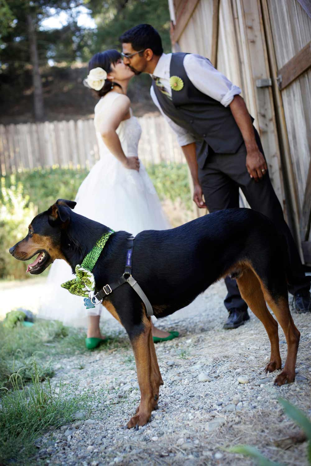 rustic-wedding-from-first-comes-love