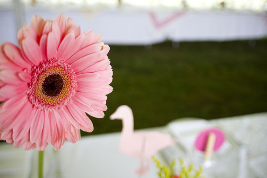 vibrant-diy-catskills-wedding