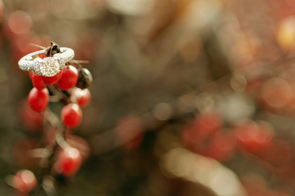 vintage-style-engagement-by-jamie