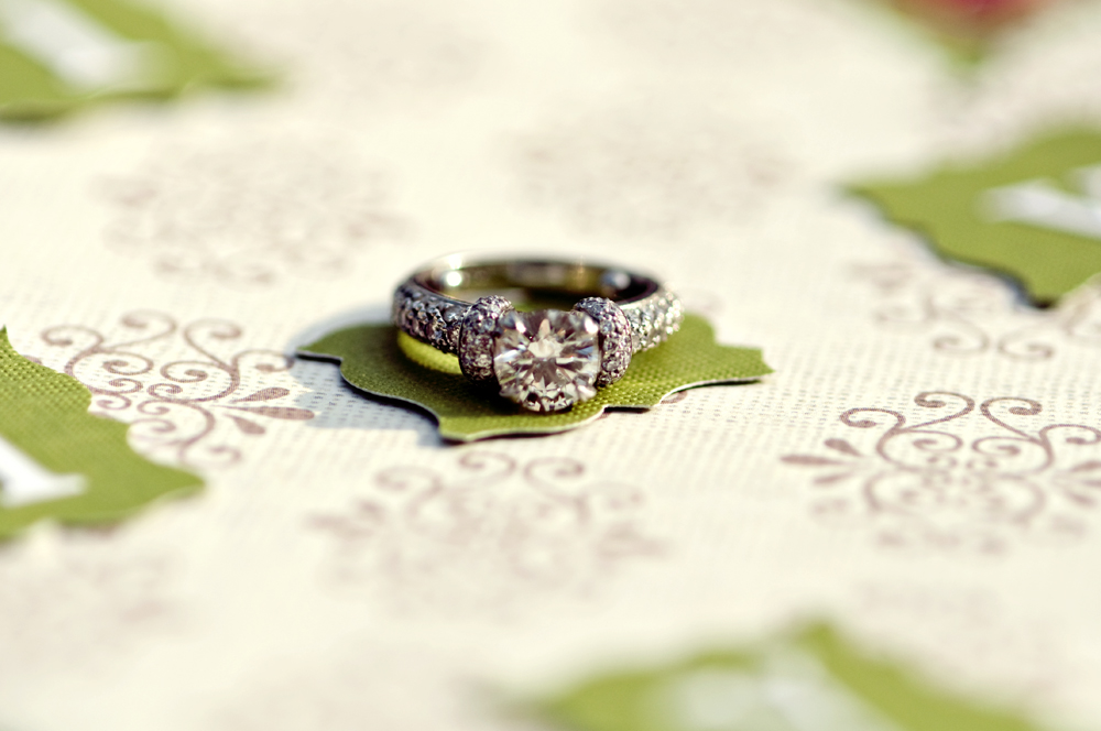 vintage-style-engagement-by-jamie