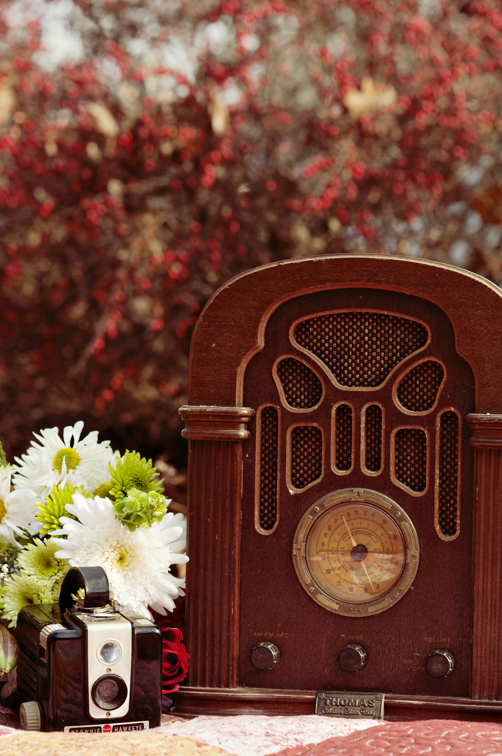 vintage-style-engagement-by-jamie