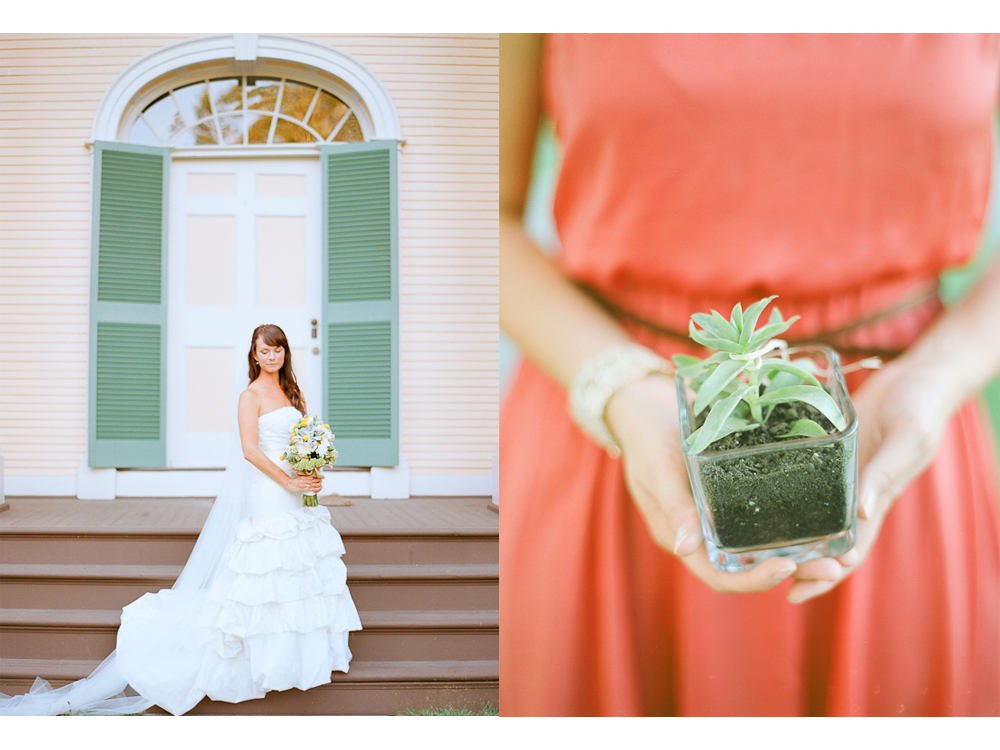 Wine Country Wedding in Kenwood, CA: Chateau St. Jean