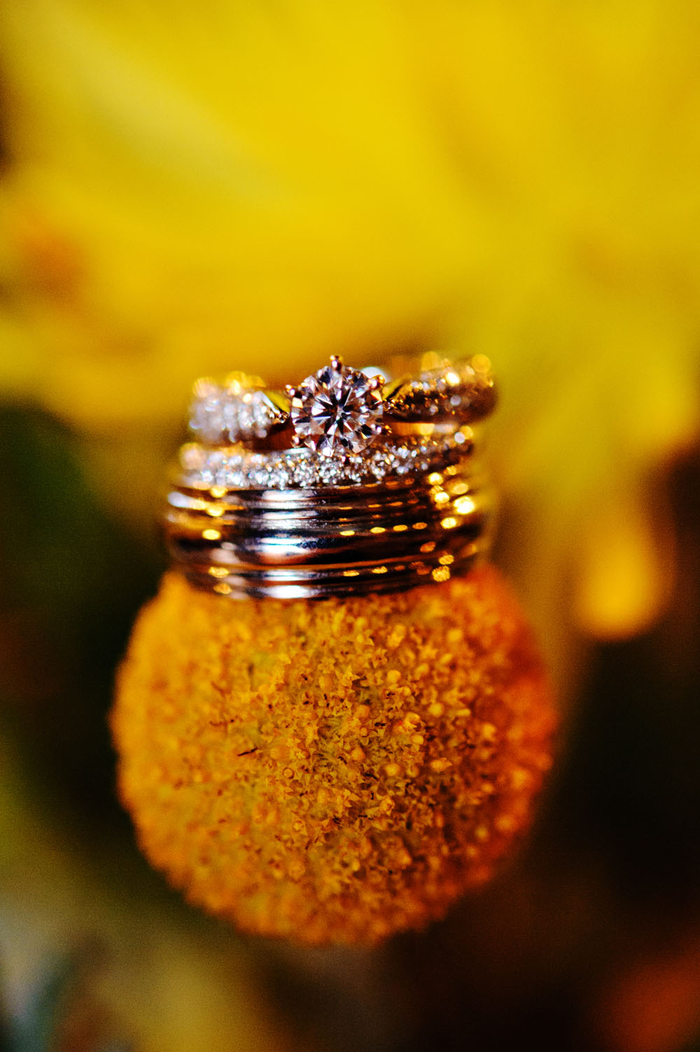 yellow-and-cobalt-blue-wedding-from