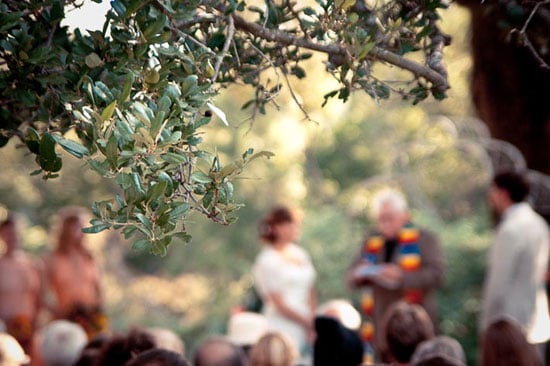 wedding altar under the symbolic oak tree