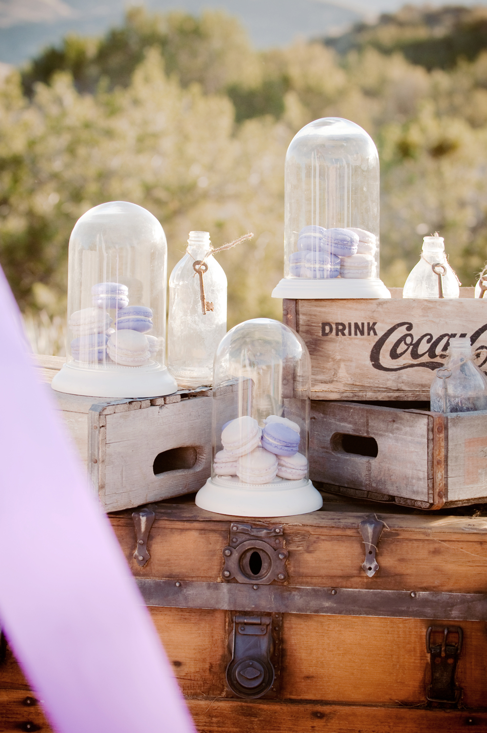 lilac-engagement-session-from-krista