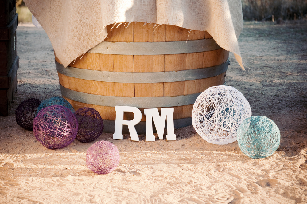 lilac-engagement-session-from-krista