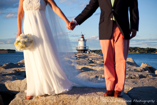 Maine Lighthouse backdrop