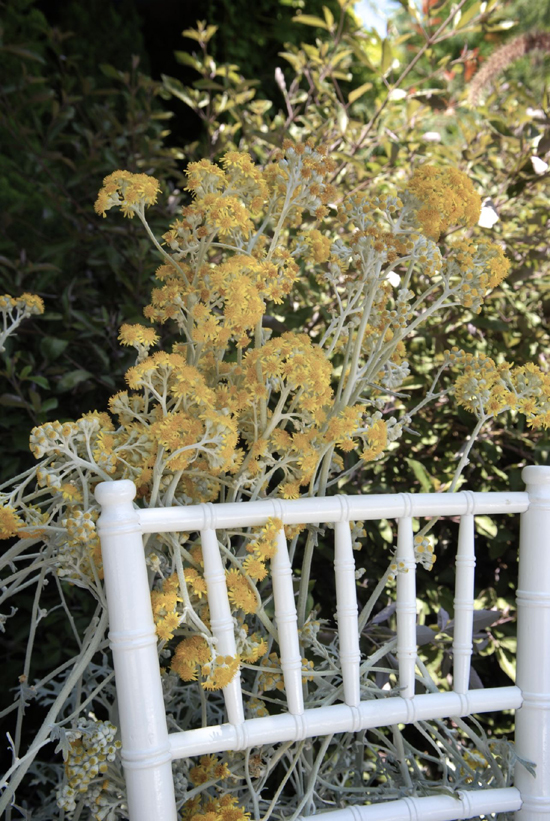 souther-california-wedding