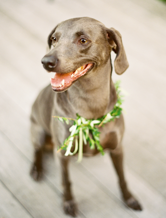 spring-time-wedding-from-jen-curtis