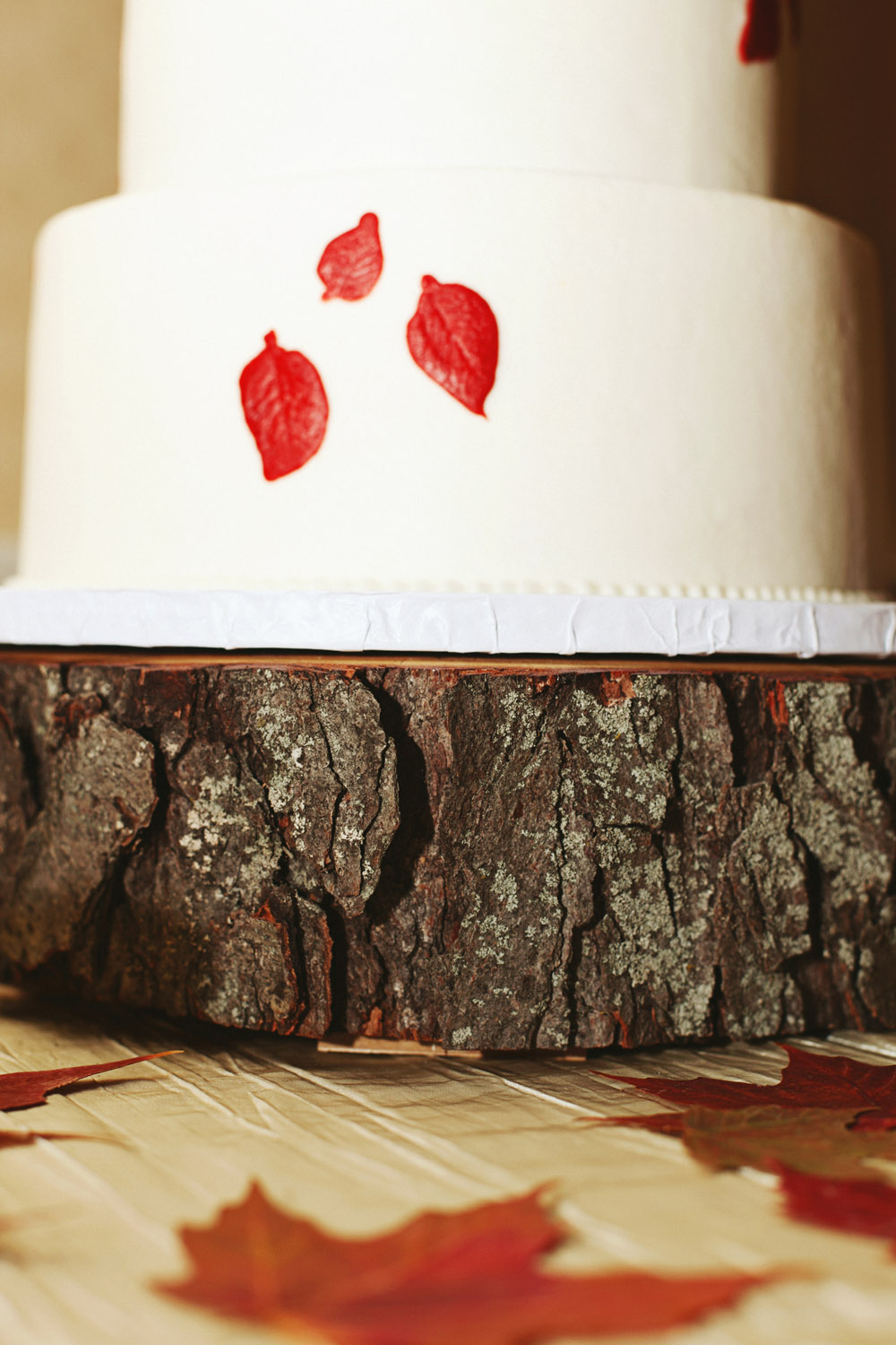 woodland-theme-fall-wedding-from-ulmer