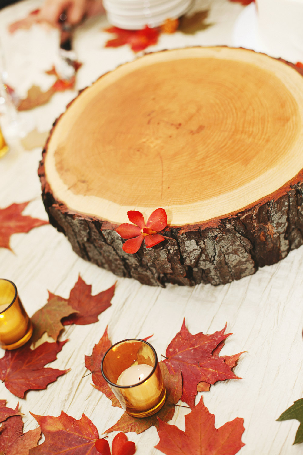 woodland-theme-fall-wedding-from-ulmer