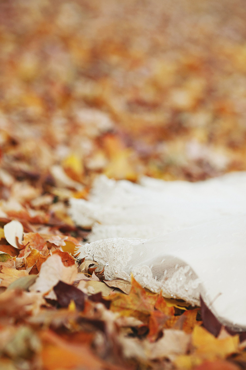woodland-theme-fall-wedding-from-ulmer