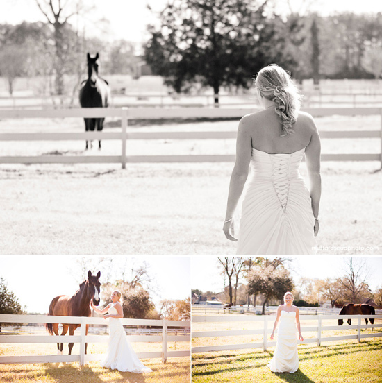 Day After Bridal Session | Mustard Seed Photography