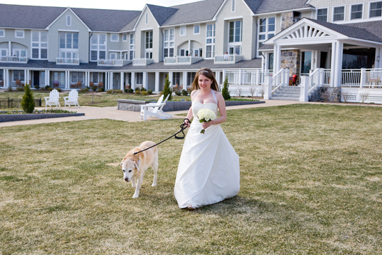 Bride with dog walking in a garden on her wedding day