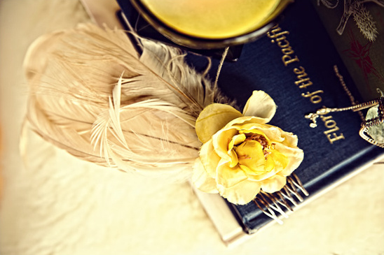 Vintage still life with feathers book and yellow rose