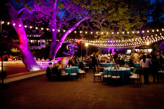 A summer wedding is the PERFECT time for Bistro Lighting!!