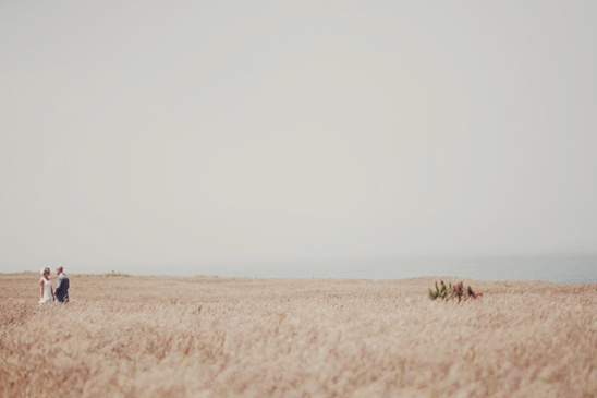 Bride and groom in wheat field wedding photo