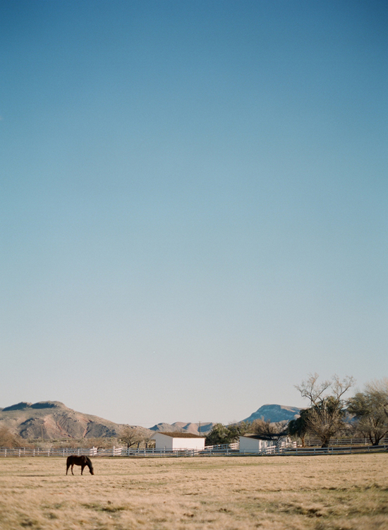 desert-wedding-ideas-from-the-italy