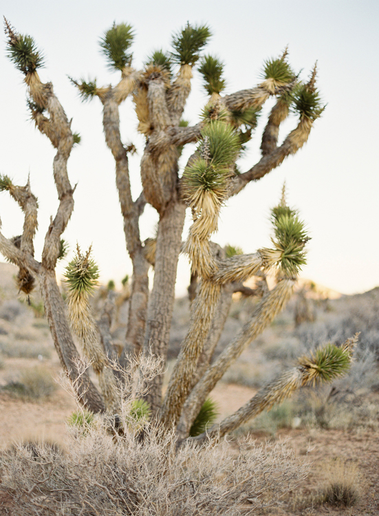 desert-wedding-ideas-from-the-italy