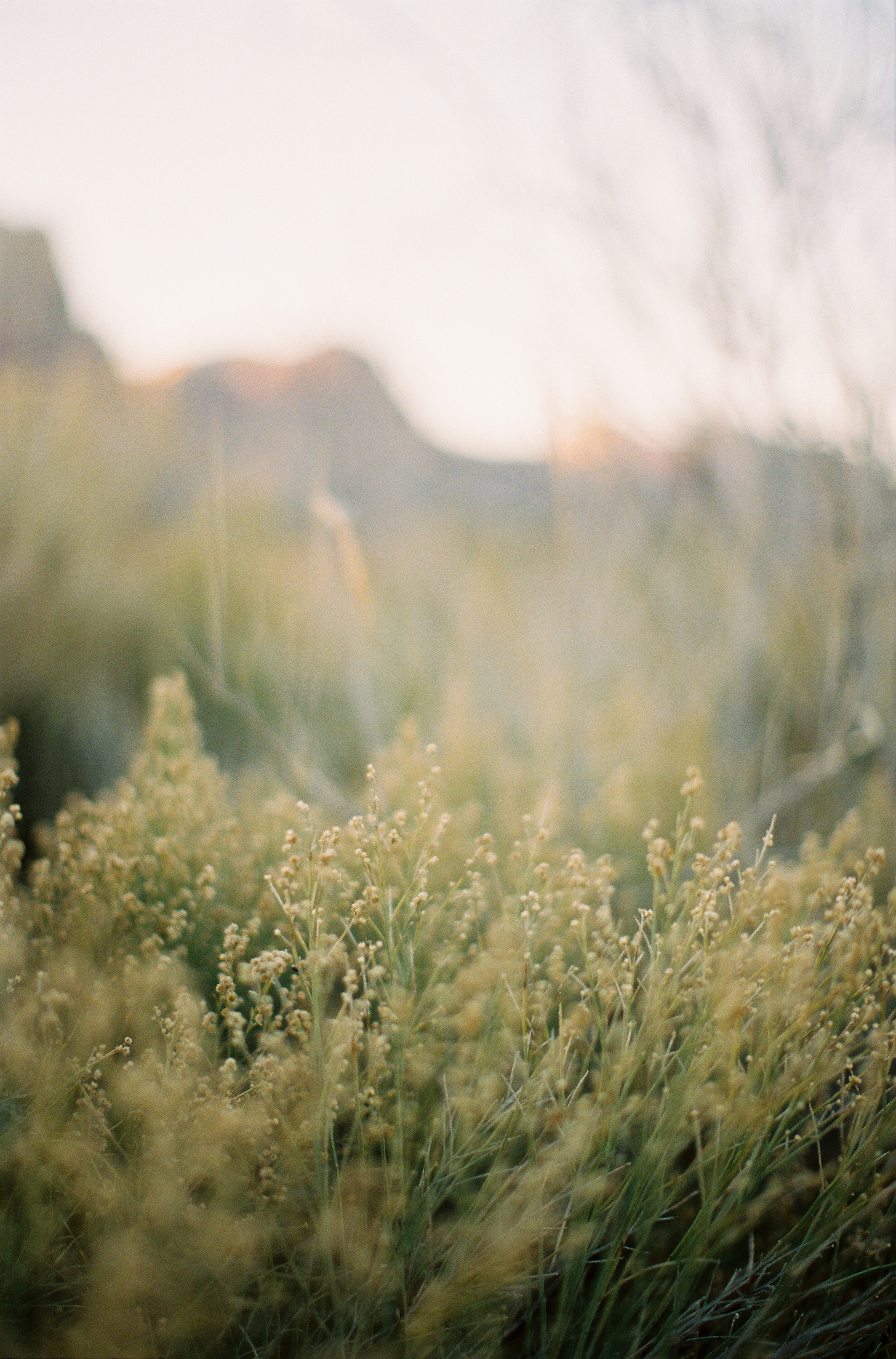 desert-wedding-ideas-from-the-italy