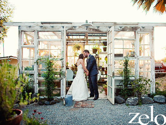 Couple kissing in rustic greenhouse wedding