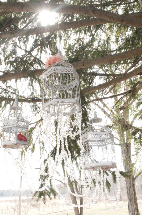 White birdcages adorned with pearls in a tree